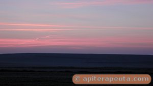 foto de Amanecer en Ajalvir 2 - Madrid HD